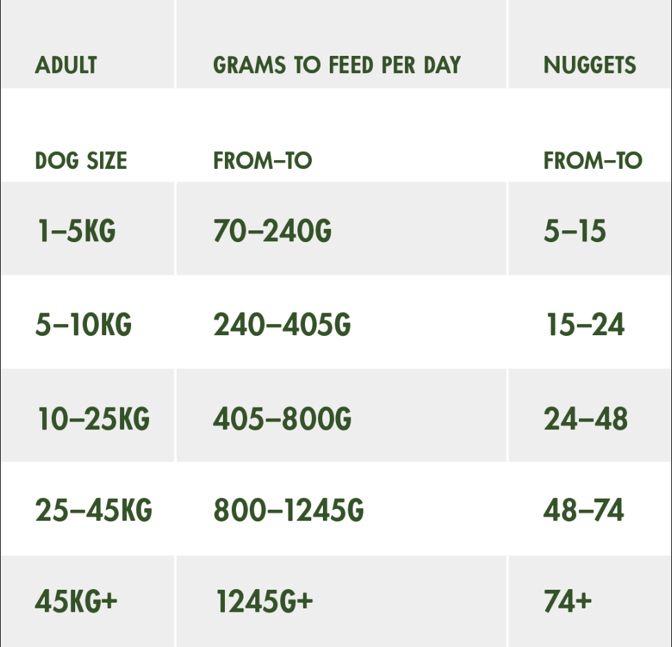 Homemade dog food serving hot sale size